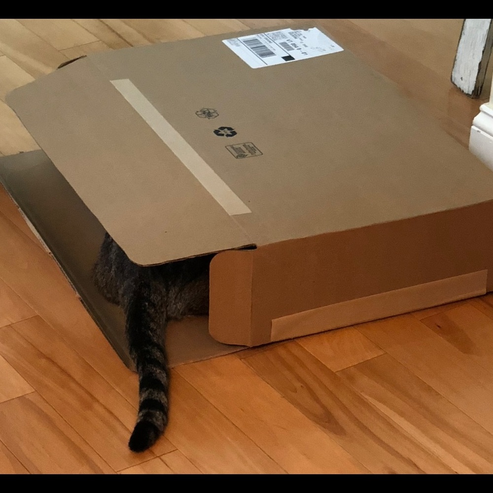 Surprise box.